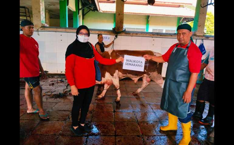Mbak Ita Turut Sumbang Sapi Kurban di DPC PDI Perjuangan