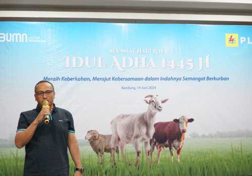 Raih Keberkahan Lewat Berkurban, Hari Raya Idul Adha 1445 H PLN UIP JBT Sumbangkan 52 Hewan Kurban