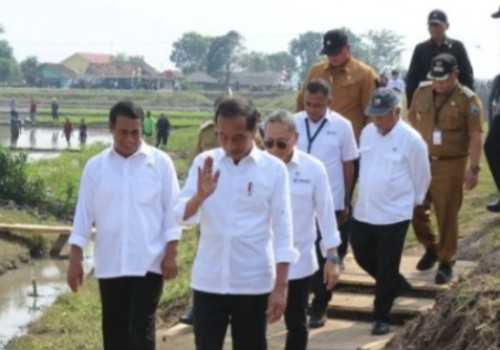 Presiden Jokowi Berharap Hasil Pertanian di Palas Mampu Penuhi Kebutuhan Masyarakat di Lampung