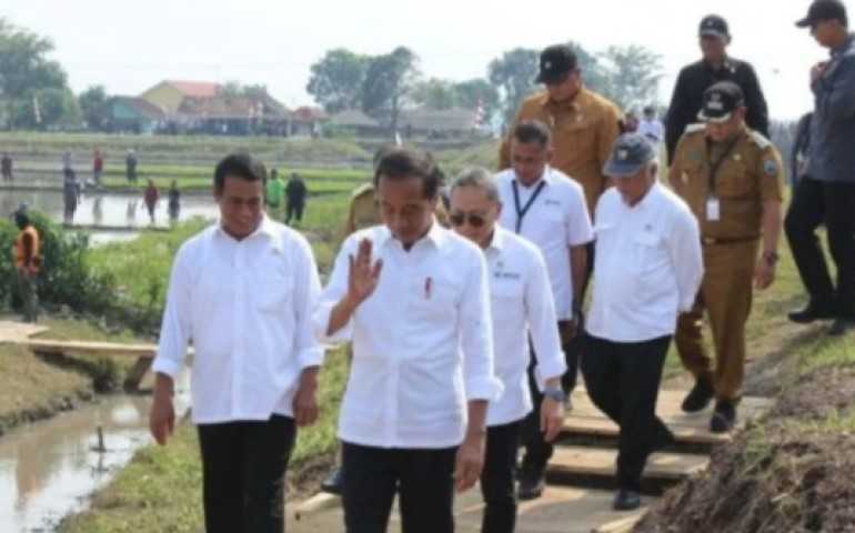 Presiden Jokowi Berharap Hasil Pertanian di Palas Mampu Penuhi Kebutuhan Masyarakat di Lampung