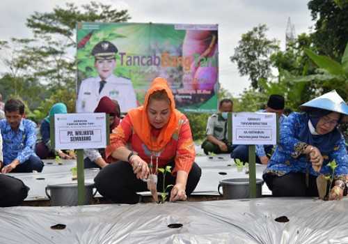 Ciptakan Ketahanan Pangan, Mbak Ita Beri Dorongan Kepada Masyarakat