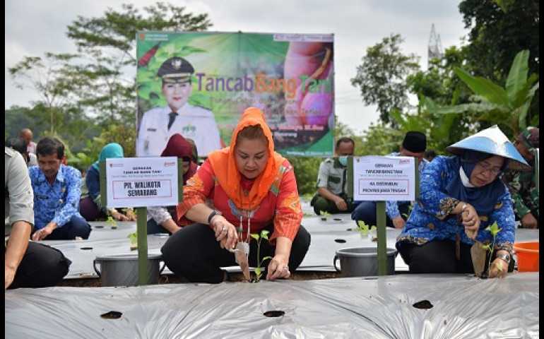 Ciptakan Ketahanan Pangan, Mbak Ita Beri Dorongan Kepada Masyarakat