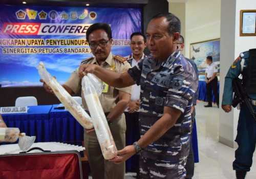 TNI AL Gagalkan Penyelundupan Lobster Senilai Rp 1,3 M