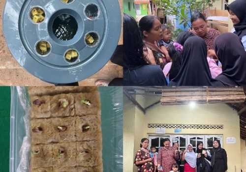 Mahasiswa KKN UNDIP Kenalkan Budidaya Microgreen dengan Aquaponic di Desa Pajomblangan Pekalongan