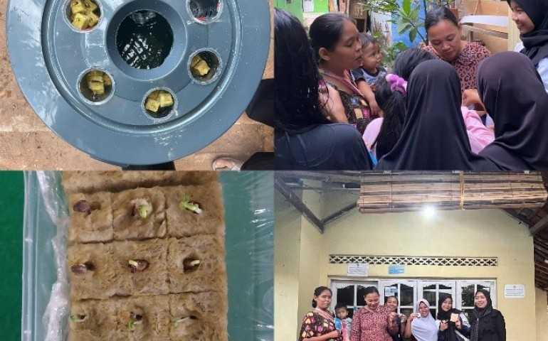 Mahasiswa KKN UNDIP Kenalkan Budidaya Microgreen dengan Aquaponic di Desa Pajomblangan Pekalongan