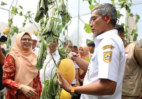 Jateng Agro-Innovation Expo 2024, Jawaban atas Tantangan Modernisasi Pertanian
