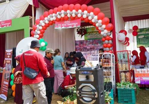 Penerapan Upland Project di Purbalingga Berhasil Dorong Ekspor dan Perbaikan Gizi