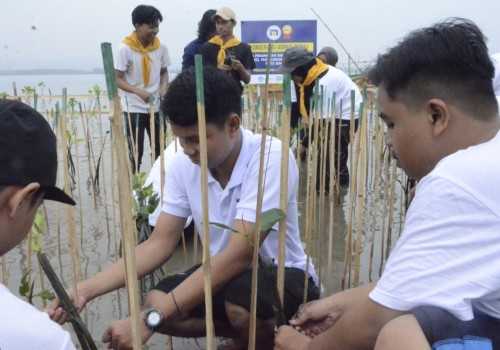 Aksi Peduli Lingkungan Udinus, Berhasil Tanam 35.000 Pohon Mangrove di Semarang