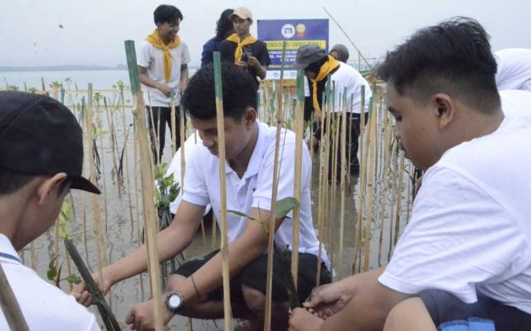 Aksi Peduli Lingkungan Udinus, Berhasil Tanam 35.000 Pohon Mangrove di Semarang