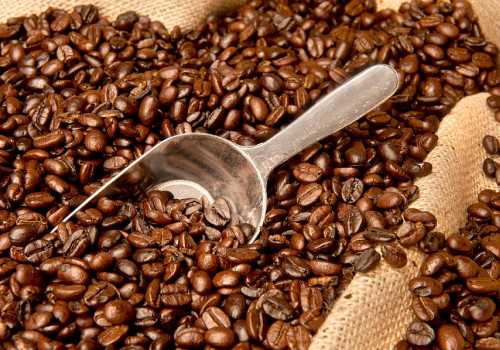 Tembus Pasar Belanda, Kopi Arabika Wine Temanggung