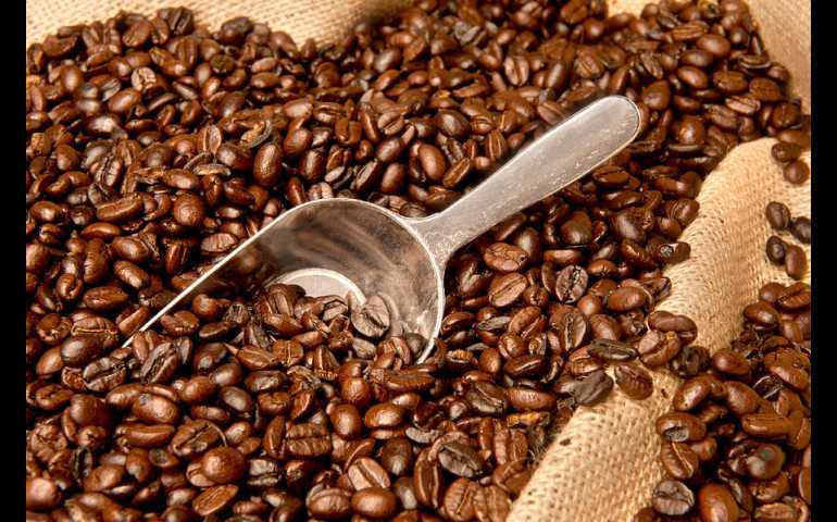 Tembus Pasar Belanda, Kopi Arabika Wine Temanggung