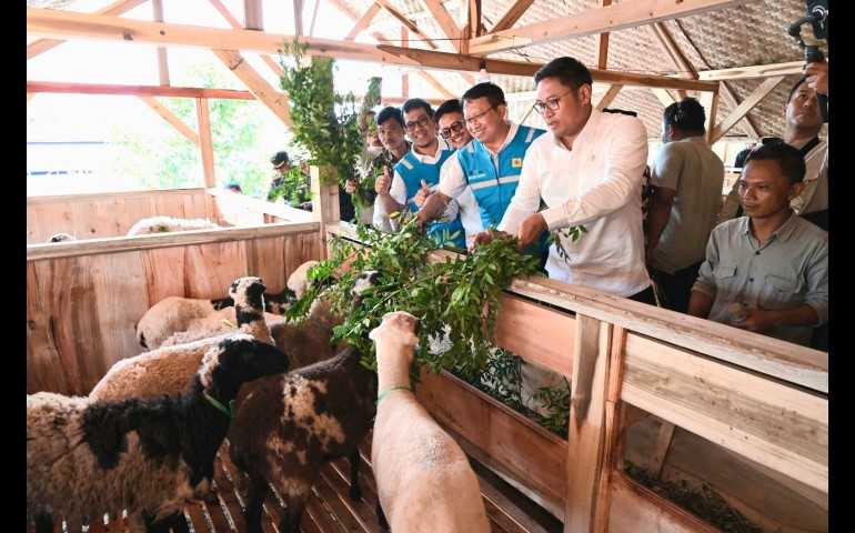 Terus Kembangkan Bahan Co-Firing Biomassa, PLN Bersama Kementan Luncurkan Model Pertanian Terpadu