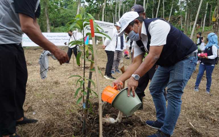PLN Peduli Dukung Pengembangan Agroforestry, Tingkatkan Dampak Positif Penghijauan