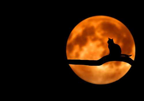 Sejarah Menarik Perayaan Halloween