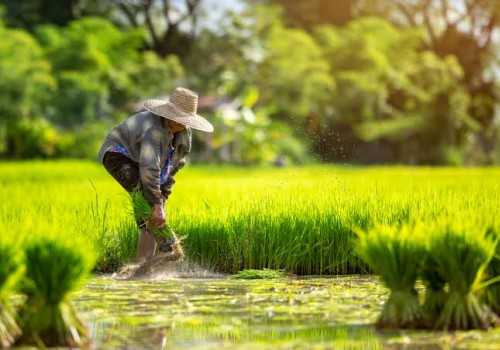 Cetak Sawah 150.000 Hektar, Indonesia Mantapkan Langkah Menuju Swasembada Pangan