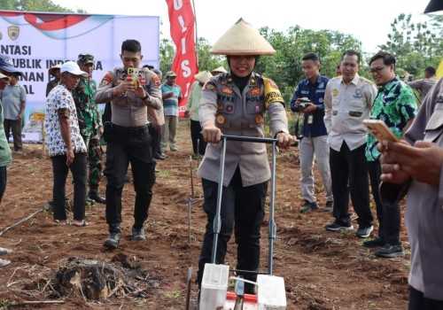 Polres Kendal Realisasikan Program Ketahanan Pangan Nasional dengan Lahan Binaan 82 Hektar