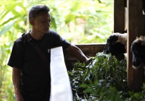 Si Hijau Ajaib Bangkitkan Ekonomi Desa