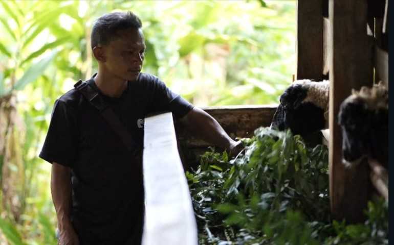Si Hijau Ajaib Bangkitkan Ekonomi Desa