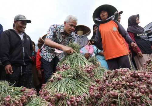 Lahan Pertanian Bawang di Brebes Rusak, Pemprov Jateng Dorong Beralih ke Organik