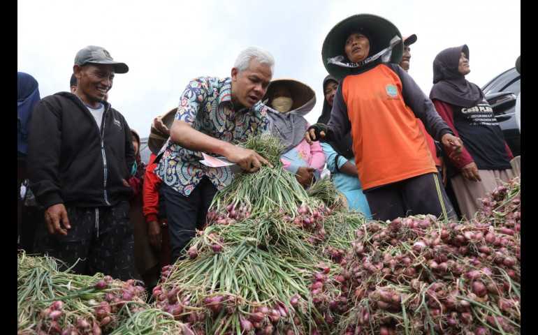 Lahan Pertanian Bawang di Brebes Rusak, Pemprov Jateng Dorong Beralih ke Organik