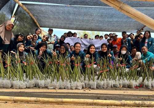 UNDIP Bantu Lindungi Ekosistem Pesisir Demak dengan Teknologi Ramah Lingkungan untuk Mangrove