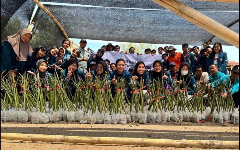 UNDIP Bantu Lindungi Ekosistem Pesisir Demak dengan Teknologi Ramah Lingkungan untuk Mangrove