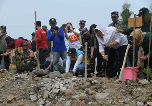 Pemkot Semarang Tanam 400 Bibit Tanaman untuk Cegah Rob dan Banjir di Tambakmulyo