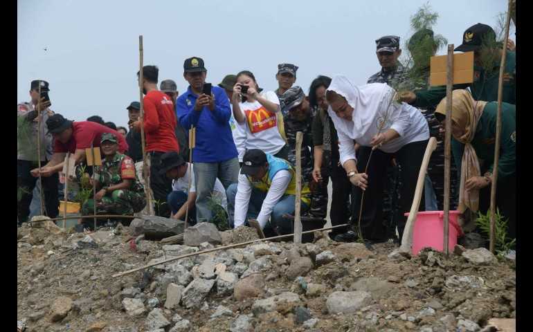 Pemkot Semarang Tanam 400 Bibit Tanaman untuk Cegah Rob dan Banjir di Tambakmulyo