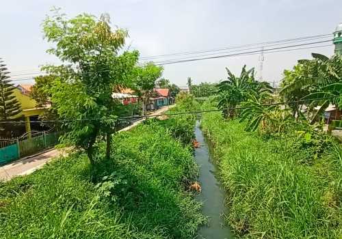 Pemkot Semarang Siapkan Langkah Konkret, Pembebasan Lahan untuk Normalisasi Sungai Plumbon