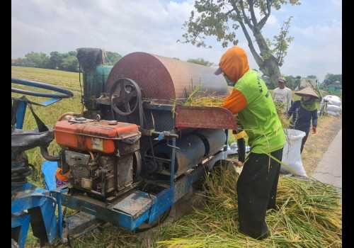 Berkat Gerakan Seribu Embung, Petani Jawa Tengah Bisa Panen Tiga Kali