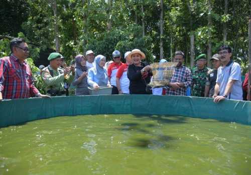Pemkot Semarang Targetkan Zero Waste dengan Inovasi Pengelolaan Sampah Menggunakan Maggot