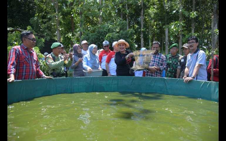 Pemkot Semarang Targetkan Zero Waste dengan Inovasi Pengelolaan Sampah Menggunakan Maggot