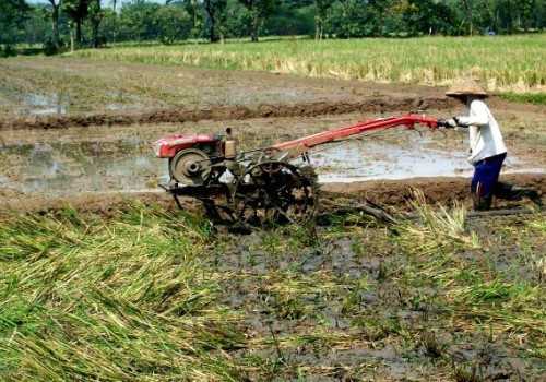Perubahan Iklim dan Biaya Produksi Meningkatkan Ketidakpastian Harga Pangan