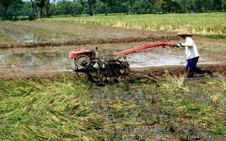 Perubahan Iklim dan Biaya Produksi Meningkatkan Ketidakpastian Harga Pangan