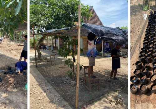Dukung Ekonomi Lokal, UNDIP-UNIMUS Kembangkan Inovasi Pertanian Durian di Rembang