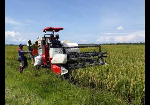Ciptakan Kedaulatan Pangan, Eks Napiter Siap Wujudkan Mimpi Swasembada di Ladang Pertanian