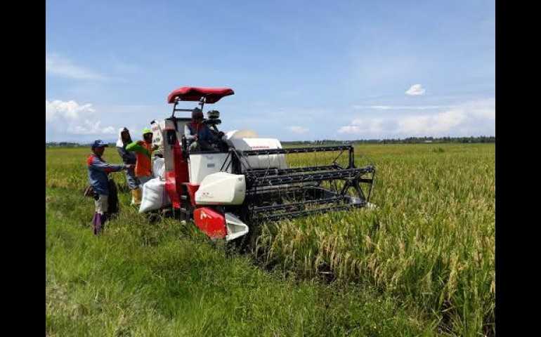 Ciptakan Kedaulatan Pangan, Eks Napiter Siap Wujudkan Mimpi Swasembada di Ladang Pertanian