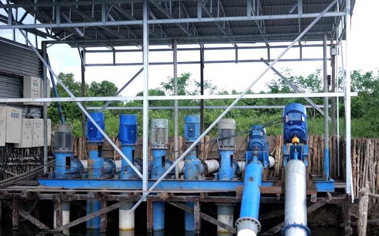 Dukung Tranformasi Pertanian Modern, Electrifying Agriculture PLN Raih 53.539 Pelanggan Baru di Tahun 2024
