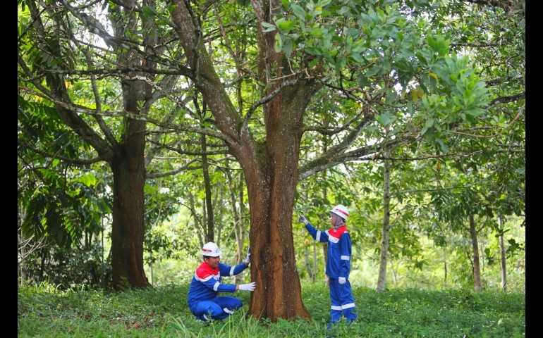 PGN Raih Skor ESG Medium Risk, Inovasi Keberlanjutan Gas Bumi Indonesia