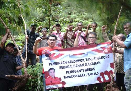 Pengembangan Singkong di Banyumas, Dorongan Menuju Pasar Ekspor