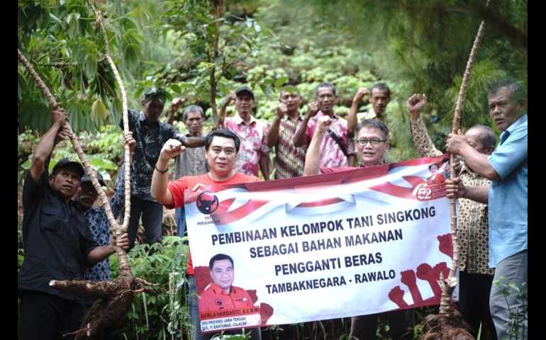 Pengembangan Singkong di Banyumas, Dorongan Menuju Pasar Ekspor