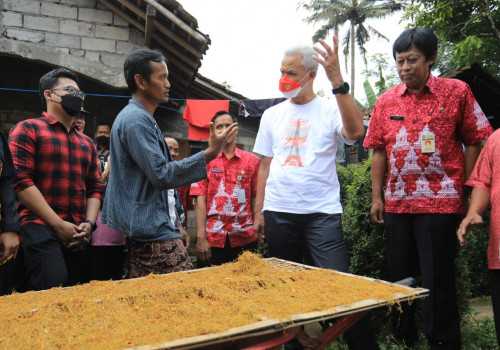 Kreatif, Modifikasi Talas Menjadi Tembakau dan Mampu Tembus Pasar Australi