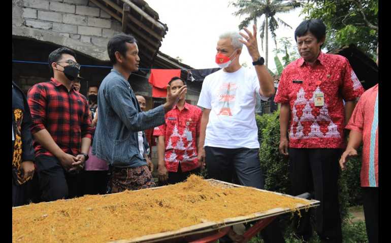Kreatif, Modifikasi Talas Menjadi Tembakau dan Mampu Tembus Pasar Australi