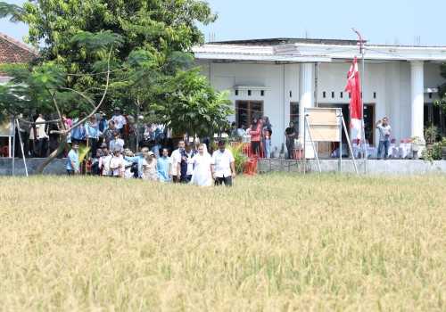 Kota Semarang Hadirkan Inovasi Lahan Salin, Solusi Cerdas untuk Pangan dan Energi Berkelanjutan