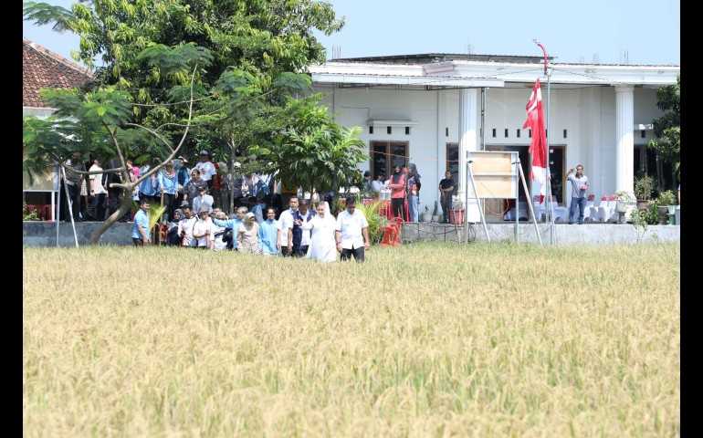 Kota Semarang Hadirkan Inovasi Lahan Salin, Solusi Cerdas untuk Pangan dan Energi Berkelanjutan