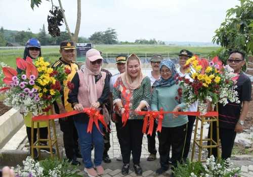 Pemkot Semarang Perkenalkan Geomembran untuk Ketahanan Pangan, Petani Bisa Tiru!