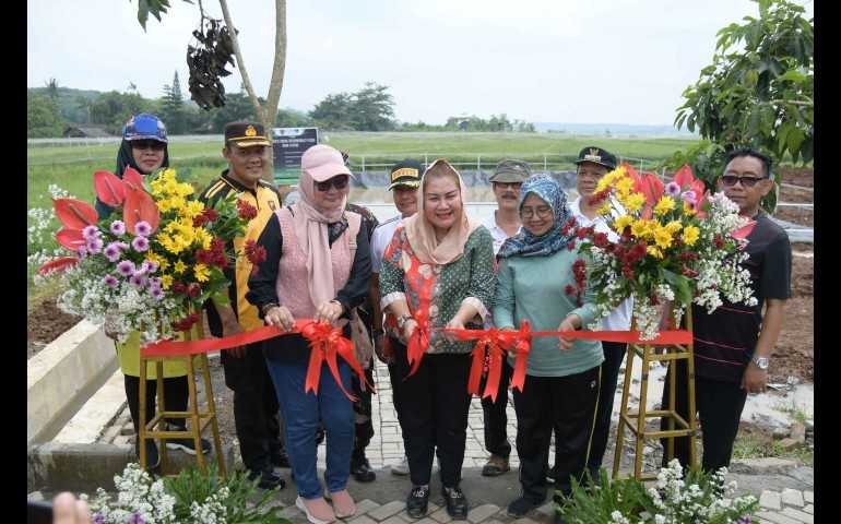 Pemkot Semarang Perkenalkan Geomembran untuk Ketahanan Pangan, Petani Bisa Tiru!