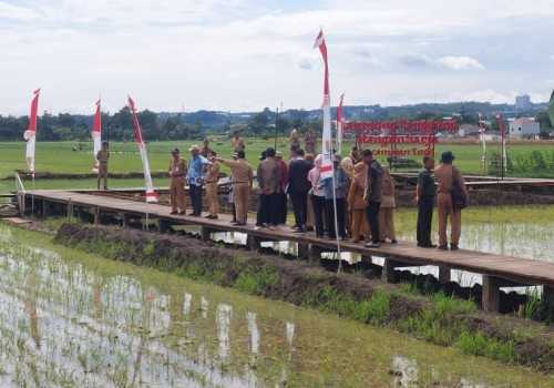 Kota Semarang Siap Jadi Juara Lomba Habitat 2025, Verifikasi Lapangan Jadi Langkah Penentu