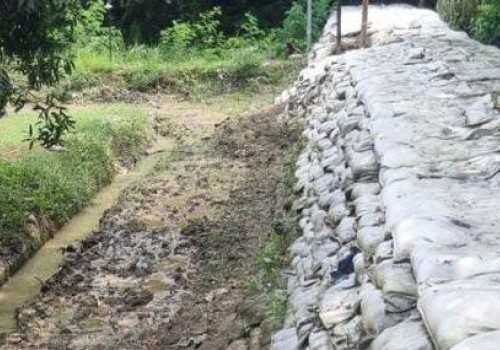 Pemkot Semarang Gerak Cepat Hadapi Limpasan Air Sungai di Perumahan Dinar Indah