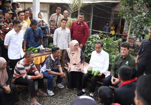 Jokowi Dorong Petani Desa Peron Kendal Tingkatkan Kualitas Alpokat dan Gula Merah